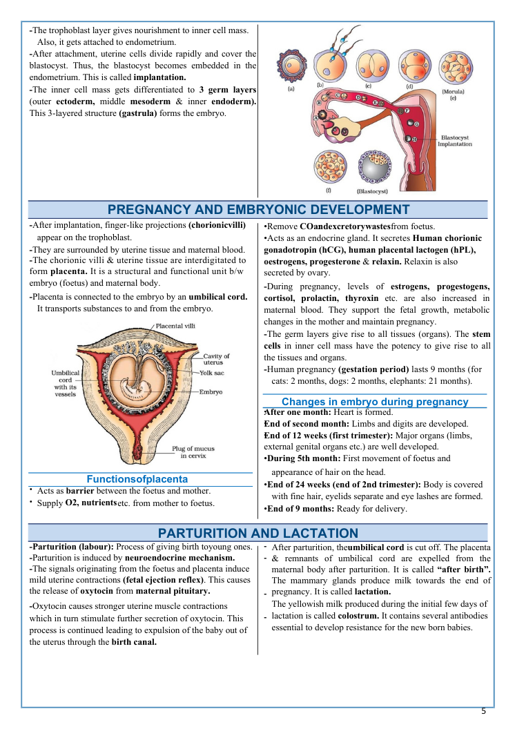 Last 30 Days Decide Your NEET 2026 Rank: Master Physics, Chemistry & Biology the Smart Way - Image 9