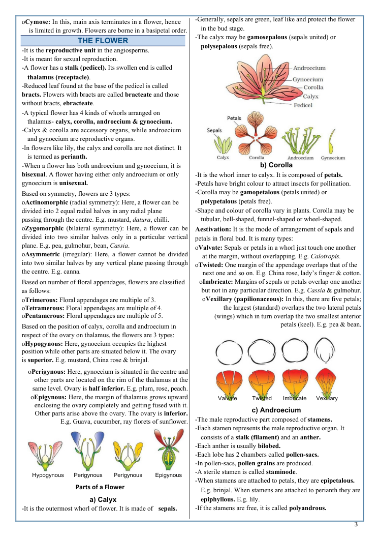 Last 30 Days Decide Your NEET 2026 Rank: Master Physics, Chemistry & Biology the Smart Way - Image 10