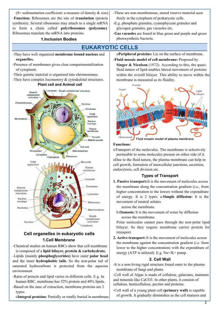Last 30 Days Decide Your NEET 2026 Rank: Master Physics, Chemistry & Biology the Smart Way - Image 11