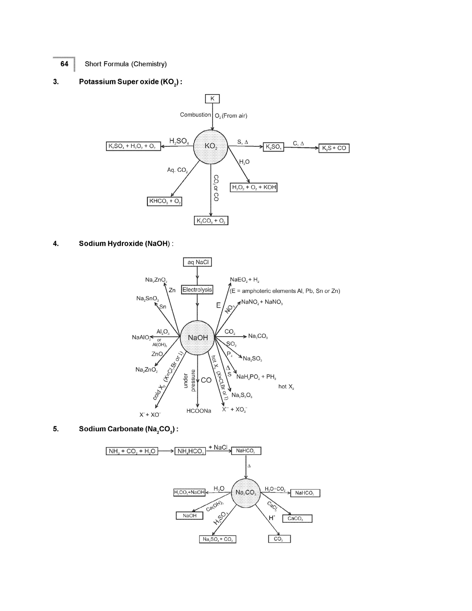 Crack NEET 2026 with a Structured 30-Day NCERT Smart Revision System - Image 8